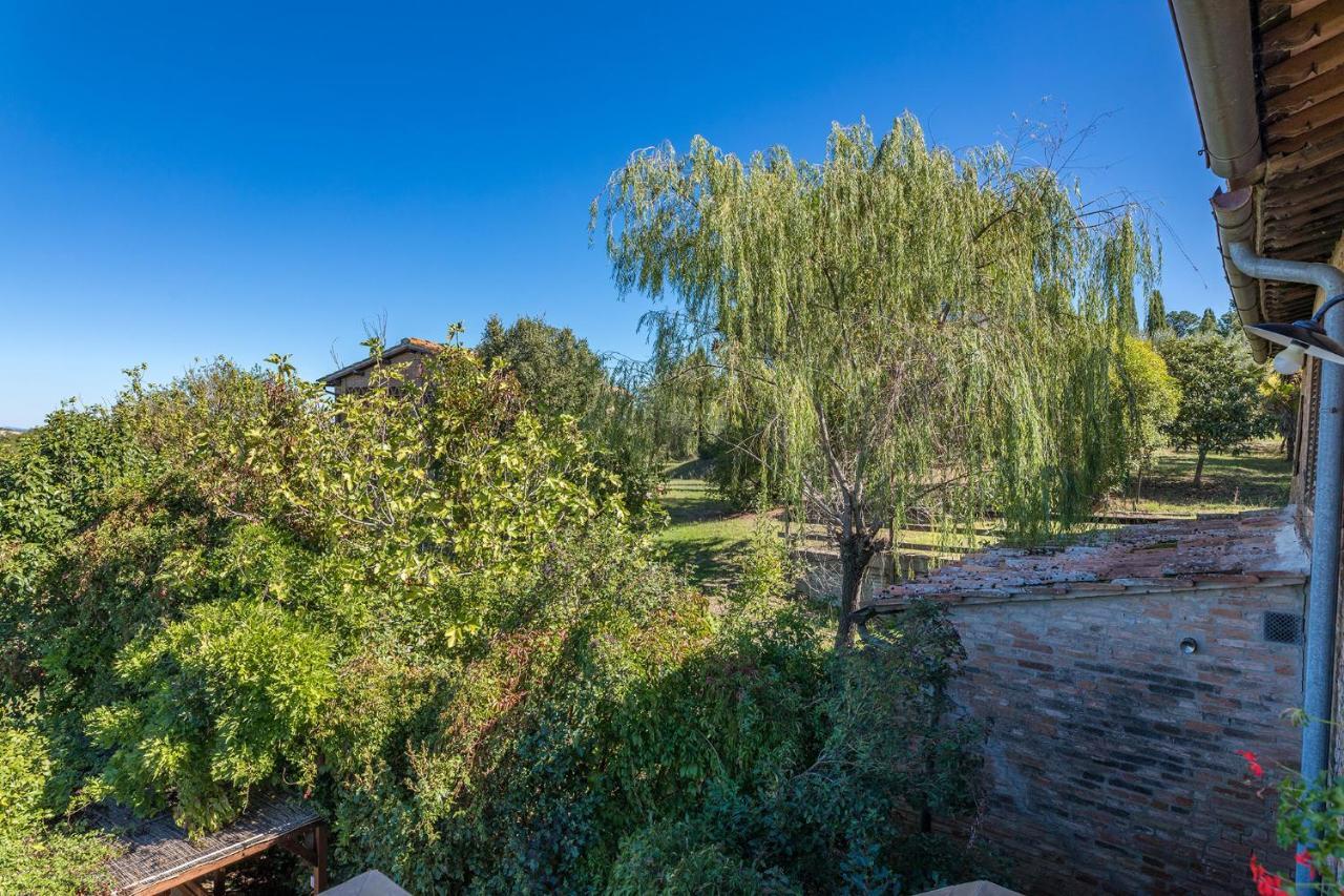 Podere Albereto Buonconvento Exterior photo